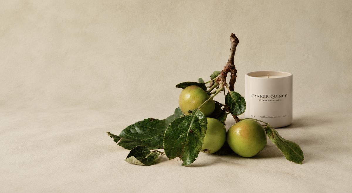 Parker Quincy fragrance collection